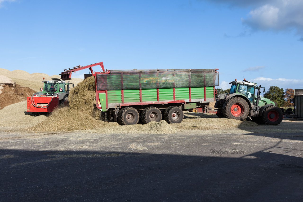 Bild 42 - Maisernte Kruppa in Fehrenbtel